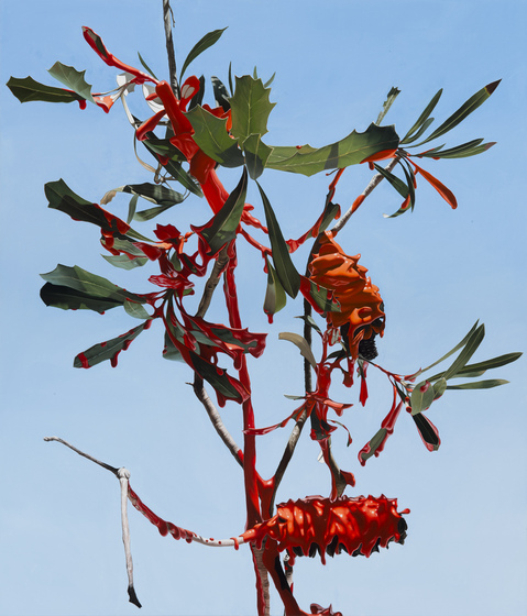A branch of green spiky leaves and orange clumps with small spikes.