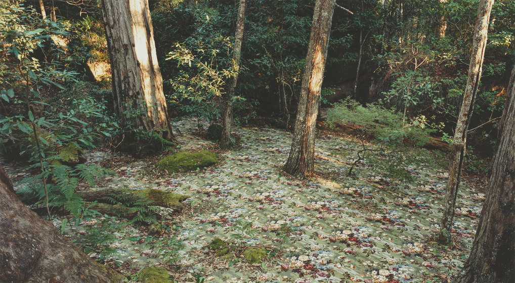 An outdoore forest scene of green bush and tall trees, but on the ground is a floral carpet featuring groups of flowers.