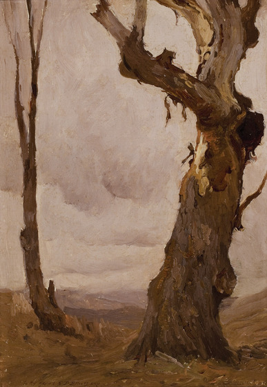 Two trees, one thin and one large, stand in a stark dry landscape. The larger tree has a large knot halfway up the trunk, and bark falling from the branches.