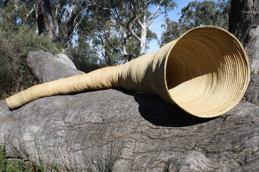 Woven cylindrical eel trap, with a thin end and a large open end. It is sitting on a fallen down tree. 