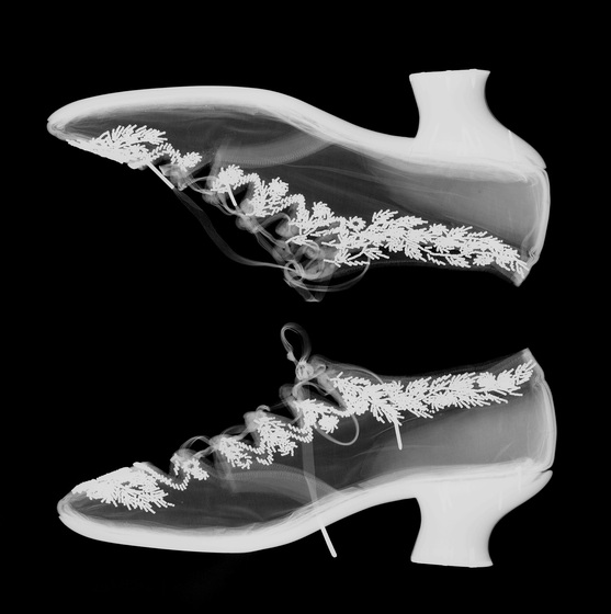 An x-ray image of a pair of closed toe, lace up high heels with embroidered sides.