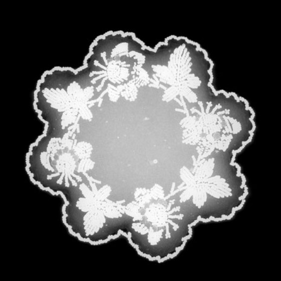 An x-ray of a flower shaped pin cushion, with embroidery on each of the 'petals'.
