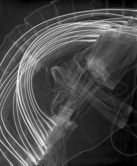 An x-ray of a bustle, with lots of white lines layered on top of each other in a semi-circle shape.