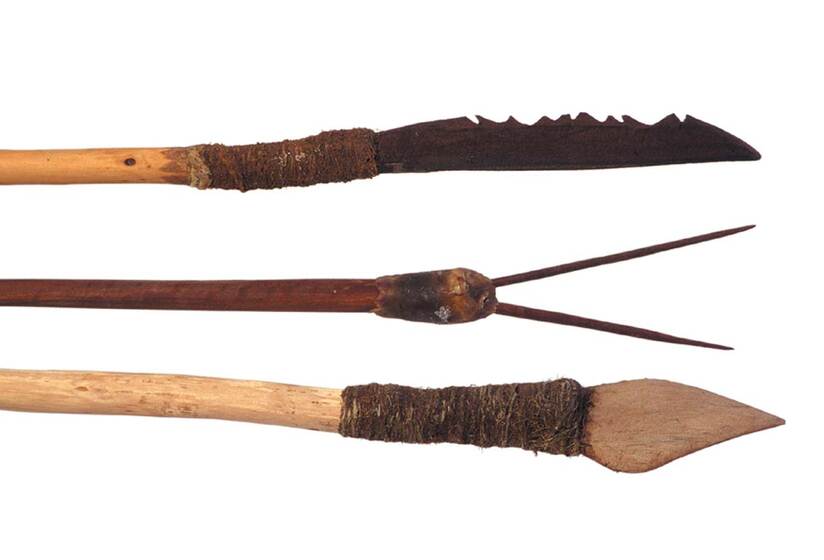 Three spears of various styles, lined up one on top of the other. The top spear includes a serrated knife, the middle spear two prongs creating a 'V' shape, and the bottom spear a rounded tear drop blade.