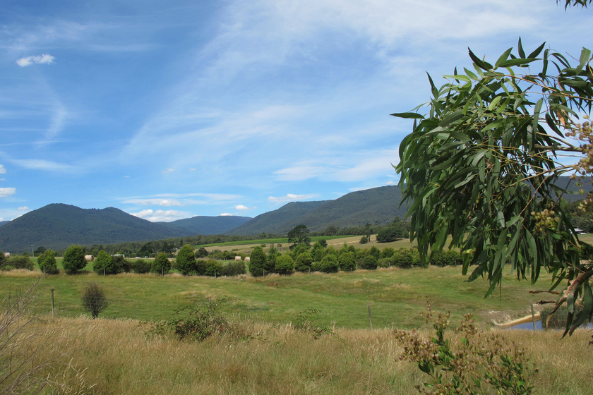 A landscape photograph of a large open paddock, covered in green and yellow grass. In the distance are rolling hills covered in gum trees, and a large blue sky beyond.