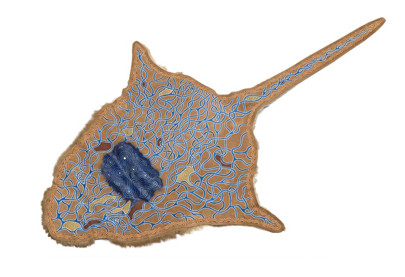 A flat kangaroo skin, the tail and leg shapes stretching out from the body, covered in an indigenous painting of blue lines, swirling and interconnecting over a brown background.