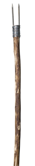 A rough wooden stick with a metal coil at the top holding two nails into place, to form a two pronged spear.