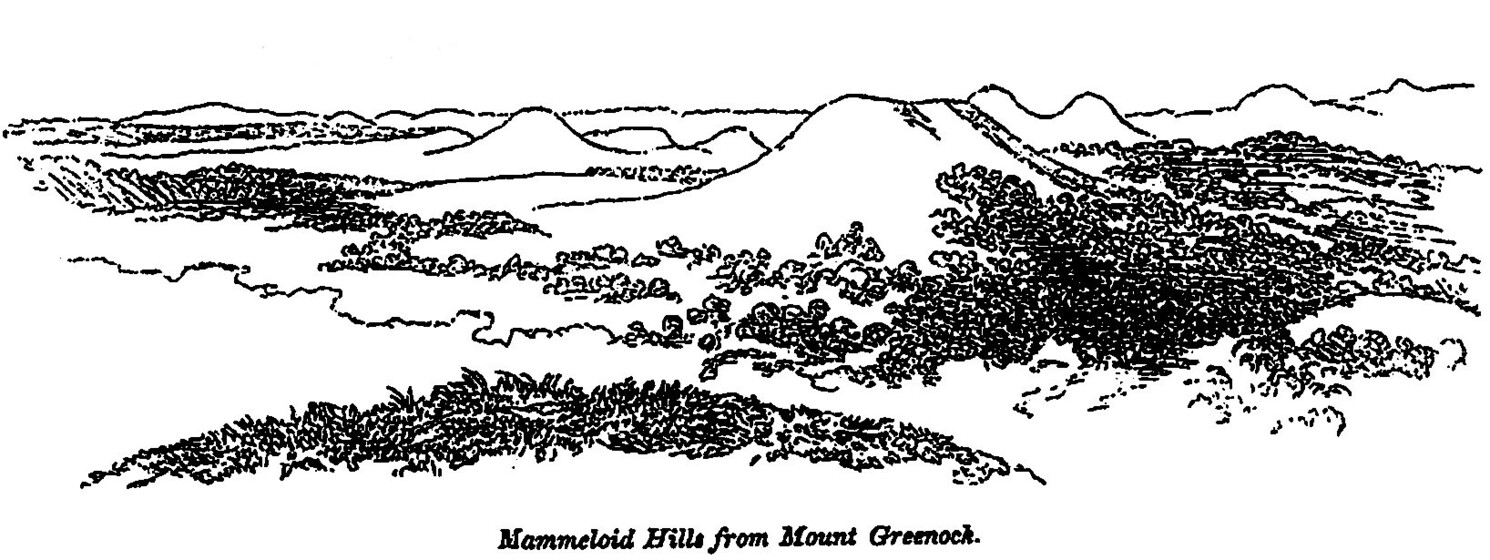 Black and white drawing of a landscape of rolling hills partially covered in foliage at the base of each hill, and the gully's inbetween.