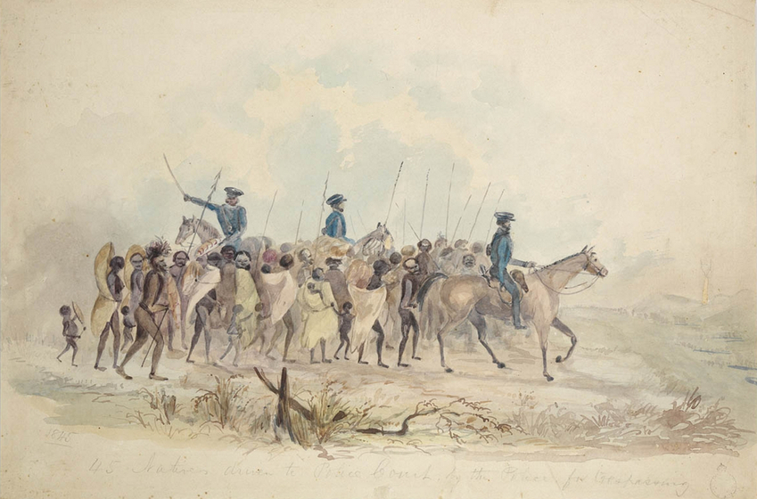A group of indigenous men, women and children are rounded up by three men in blue uniforms riding horses. The group walking are holding spears, blankets and other types of body coverings. They are all moving through a bare landscape, with some tussocks on the ground.