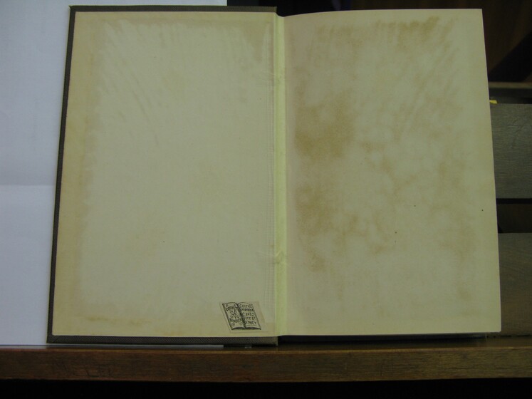 Inside back cover of a book with some slight staining and marking.