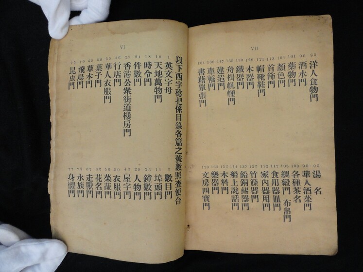 Double page book with Cantonese characters on both sides, being held by hands in white gloves.