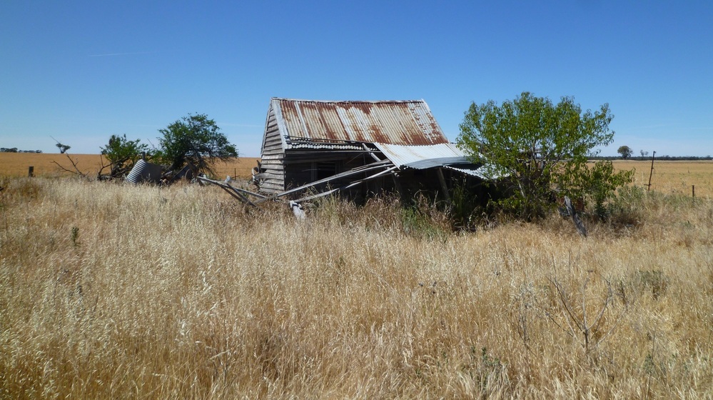 Photograph of an old weatherboard house, slightly fall down and a rusted roof. It sits alone in the middle of a dry paddock, with long grass and some trees.