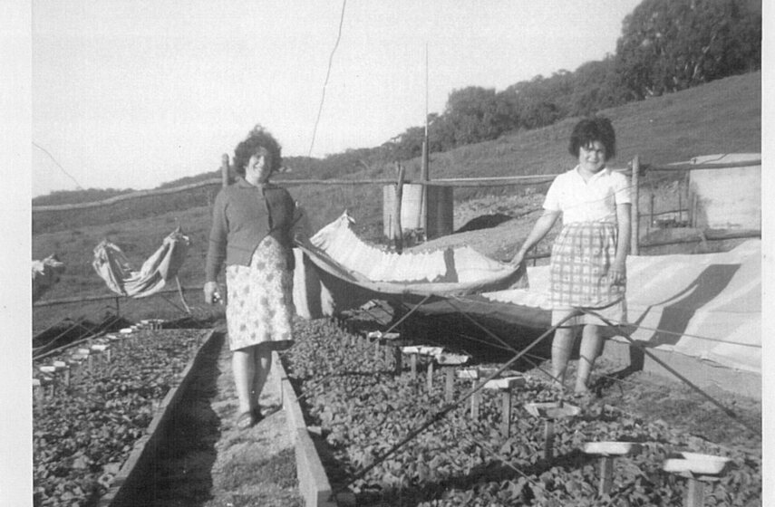 Black and white photograph of two women standing in between garden beds full of seeds.