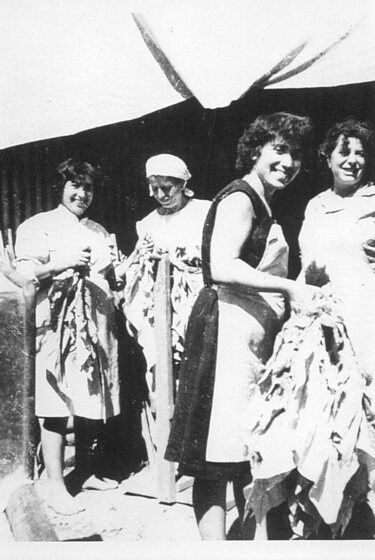 A group of four women stand in front of a tin shed, they are wearing aprons and holding tobacco leaves.