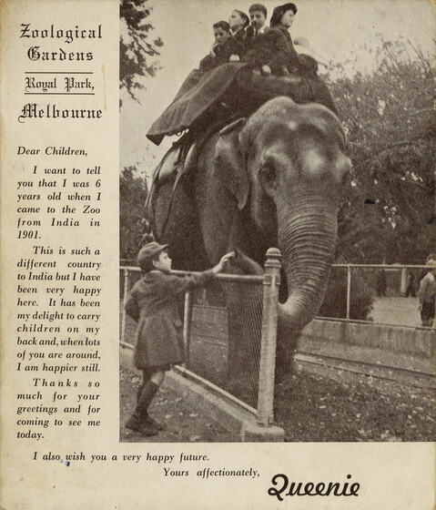 A black and white flyer with text in a column on the left side, and a photograph of a young boy feeding a large elephant from behind a metal fence. A group of children sit on top of the elephant in a seated frame.