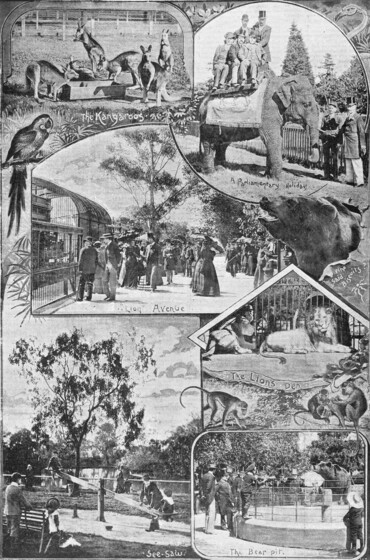 A black and white poster showing various drawn scenes from around the zoo grounds including children on a see saw, adults looking at a bear in a circular enclosure, visitors feeding an elephant and a mob of kangaroos within their enclosure.