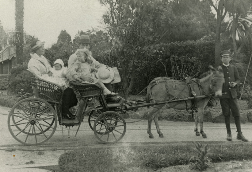 Black and white photograph of a family, two adults and two small children, sitting in a cart that is being led by a donkey. A man holds the donkey by the bridal and has his head turned towards the camera.