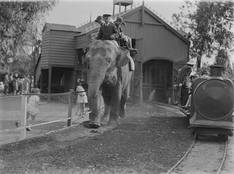 An elephant walks beside a small steam engine, both on allocated tracks. A man in unifrom and a group of children sit on top of the elephant, and a group of children sit on the carriage of the steam engine. Behind them both a wooden structure that which may possibly be a platform of some description.