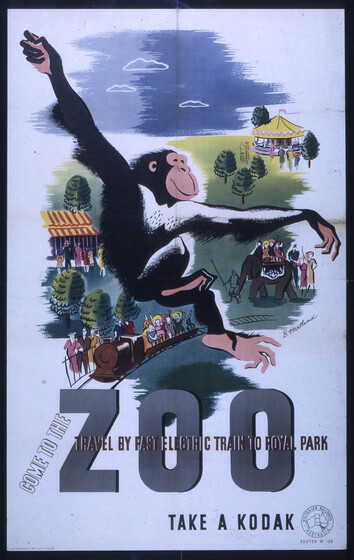 A poster of a hand drawn chimpanzee swinging across the page with smaller images of trains, carousels, elephants and enclosures around him.