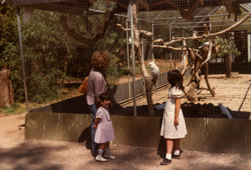 Two small girls and their mother stand in front of an enclosure of birds, watching them sit on various branches.