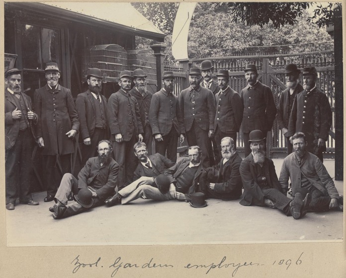 A black and white photograph of a group of men standing and sitting in rows, all wearing matching uniforms in what appears to be an animal enclosure.
