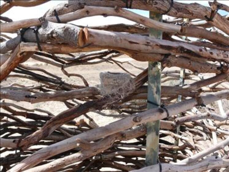 Different size sticks, smooth and white, are tied together to create almost a nest type shape. In the middle is a small felt birds nest, small and compact in size.