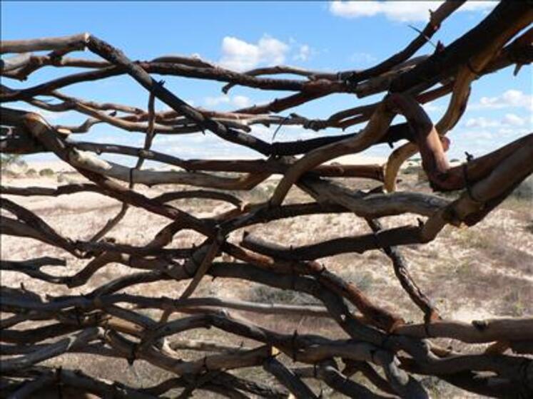Different size sticks, smooth and white, are tied together to create almost a nest type shape. Behind the sculpture is blue sky and dry paddocks.