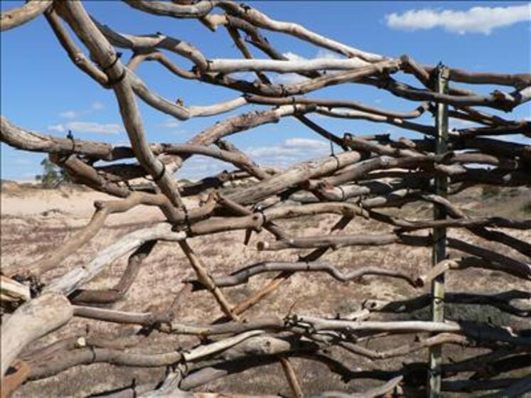 Different size sticks, smooth and white, are tied together to create almost a nest type shape. Behind the sculpture is blue sky and dry paddocks.