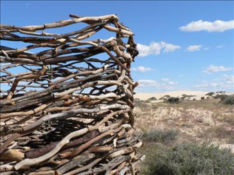 Different size sticks, smooth and white, are tied together to create almost a nest type shape. Behind the sculpture is blue sky and dry paddocks.