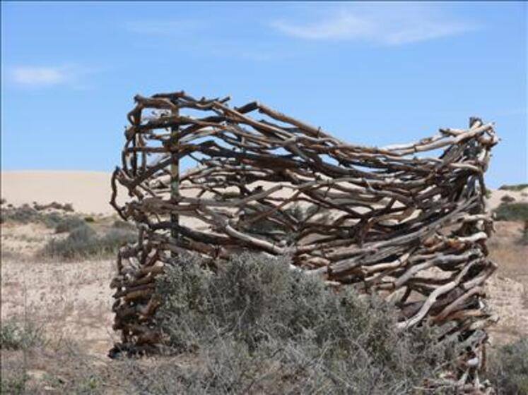 Different size sticks, smooth and white, are tied together to create almost a nest type shape. Behind the sculpture is blue sky and dry paddocks.