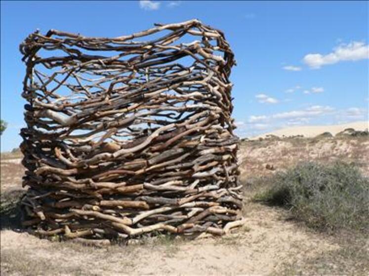 Different size sticks, smooth and white, are tied together to create almost a nest type shape. Behind the sculpture is blue sky and dry paddocks.