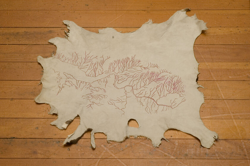 A stretched-out cow hide lies on the ground. Red etched lines are present across the surface of the hide, looking similar to water lines on a map.