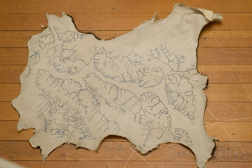 A stretched-out cow hide lies on the ground. Blue etched lines are present across the surface of the hide, looking similar to water lines on a map.