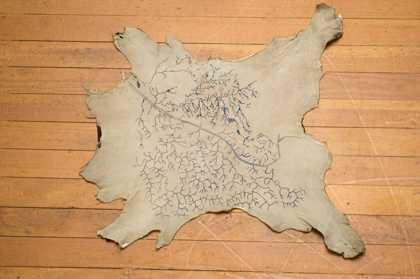 A stretched-out cow hide lies on the ground. Blue etched lines are present across the surface of the hide, looking similar to water lines on a map.