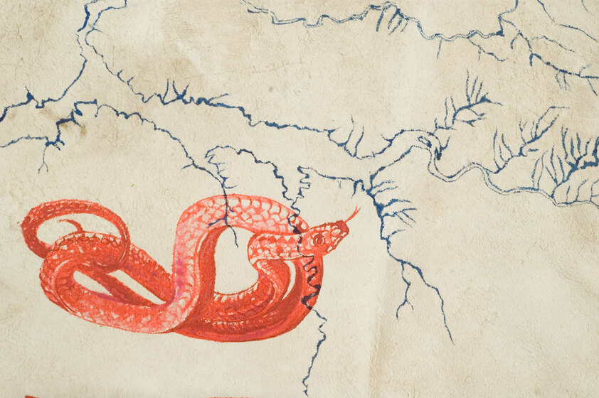 Blue lines stretch out across a cow hide surface, a red serpent shape imprinted over the top of the blue lines.