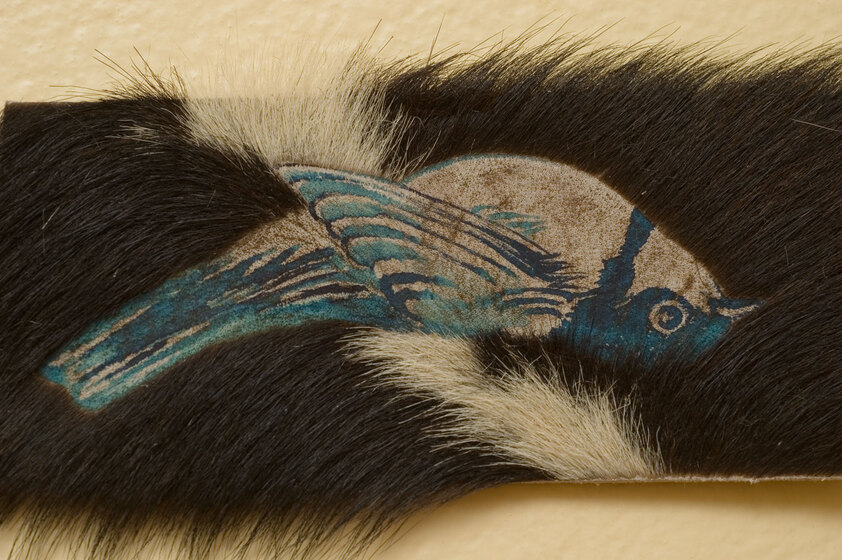 A small bird, possibly a wren, etched into a piece of cow hide. It is blue and white in colour and is positioned upside down.
