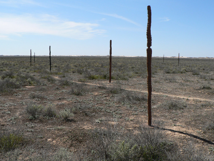 Wooden pole like sculptures positioned in a large dry land area, with a blue and cloudy sky horizon.