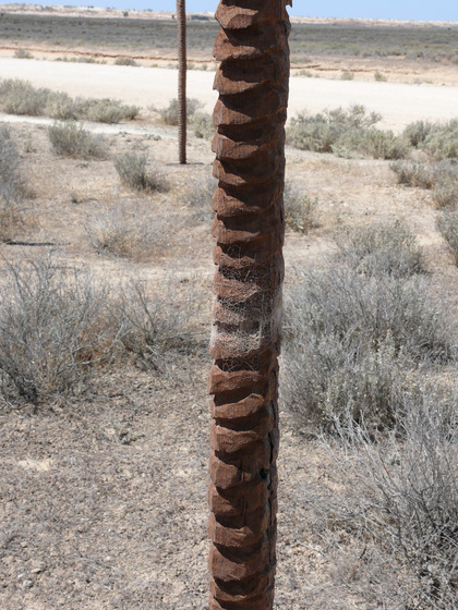 A wooden pole like sculpture, with small indents into the wood, almost making it look like stones stacked on one another. The landscape it is positioned in is dry, scrubby and sandy.