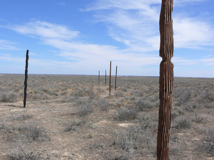 Wooden pole like sculptures positioned in a large dry land area, with a blue and cloudy sky horizon.