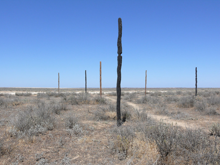 Wooden pole like sculptures positioned in a large dry land area, with a blue and cloudy sky horizon.