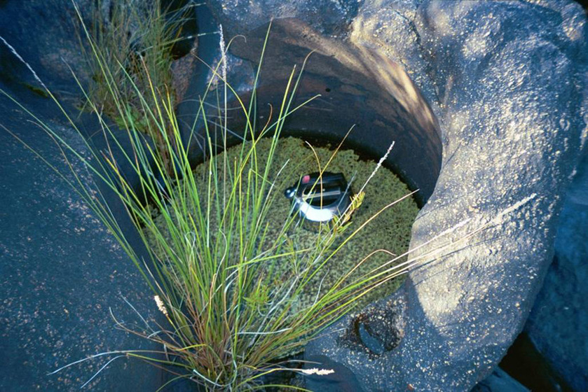 A photograph of a metal kettle floating in a river, large rocks positioned around the edge of the water and tall grass obscuring the view partially.