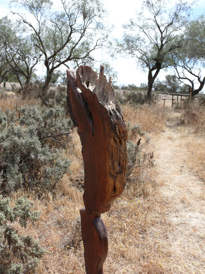 A wooden human like sculpture stands in lots of bushland scrub and dry grass, other taller trees stand in the distance.