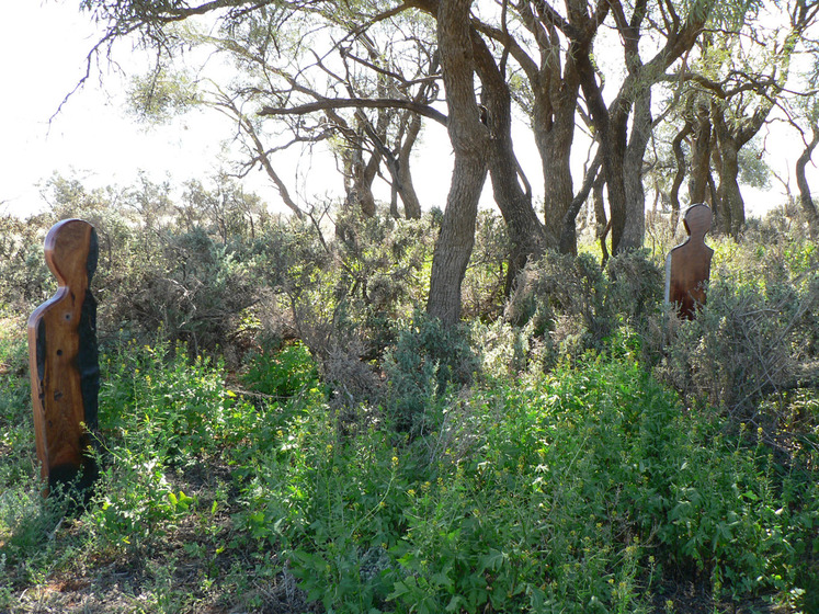 Two wooden human like sculptures stand in lots of bushland scrub and dry grass, other taller trees stand around the sculptures.