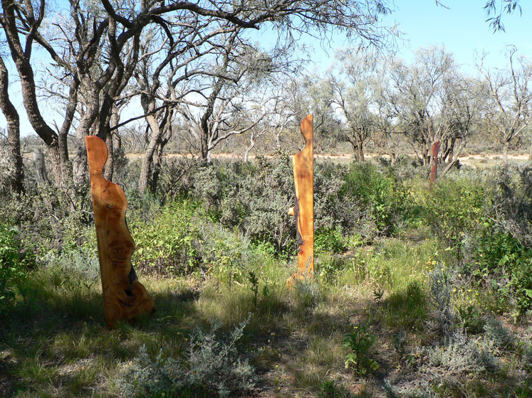 Three wooden human like sculptures stand in lots of bushland scrub and dry grass, other taller trees stand around the sculptures.