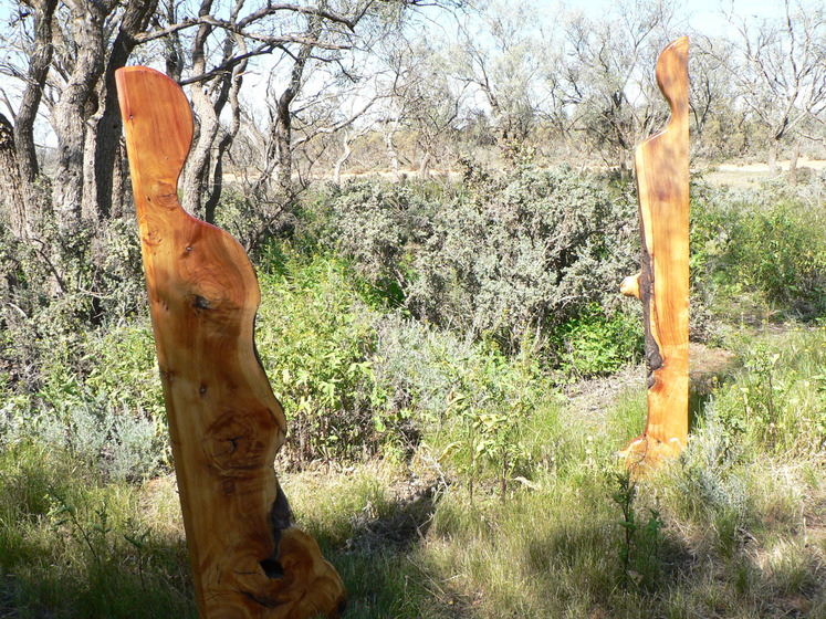 Two wooden human like sculptures stand in lots of bushland scrub and dry grass, other taller trees stand around the sculptures.