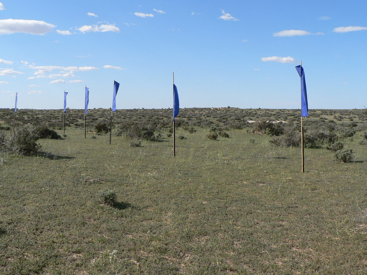 Grassy landscape with scrubby bushes dotted across the surface. In the centre are blue flags attached to tall poles - they're positioned at different heights and are flapping in the wind.