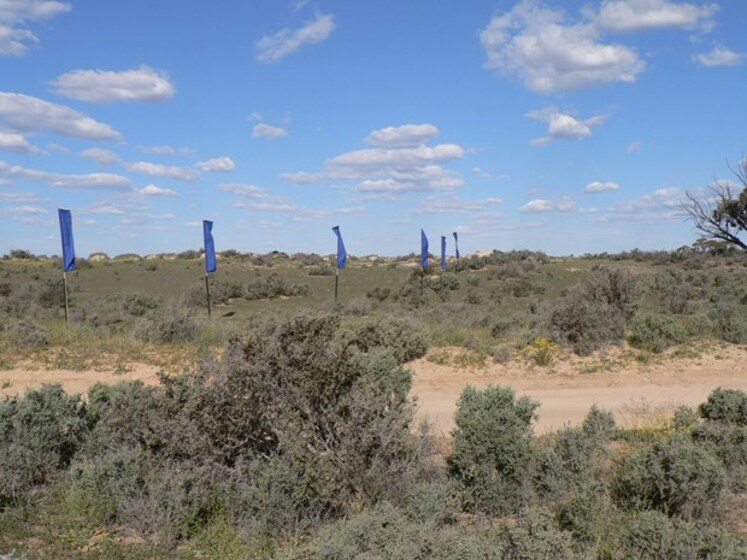 Grassy landscape with scrubby bushes dotted across the surface. In the centre are blue flags attached to tall poles - they're positioned at different heights and are flapping in the wind. A dusty dirt road runs through the middle of the landscape.