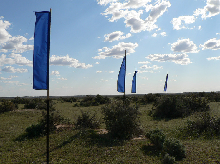 Grassy landscape with scrubby bushes dotted across the surface. In the centre are blue flags attached to tall poles - they're positioned at different heights and are flapping in the wind. The sun is slightly setting, casting shadows on the ground.