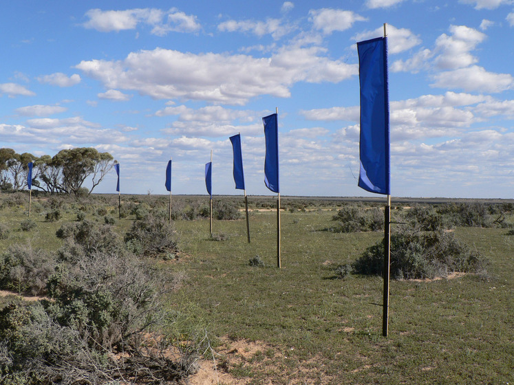 Grassy landscape with scrubby bushes dotted across the surface. In the centre are blue flags attached to tall poles - they're positioned at different heights and are flapping in the wind.