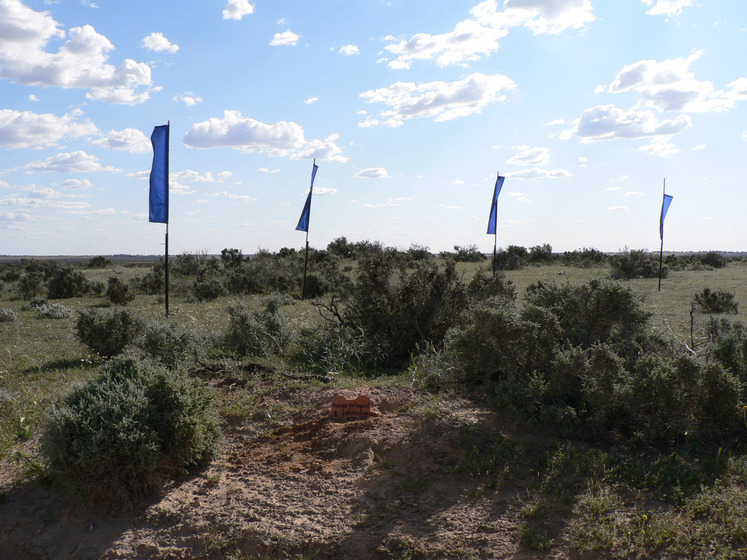 Grassy landscape with scrubby bushes dotted across the surface. In the centre are blue flags attached to tall poles - they're positioned at different heights and are flapping in the wind. The sun is slightly setting, casting shadows on the ground.